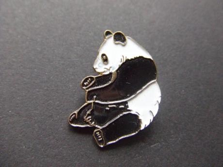 Pandabeer zittend